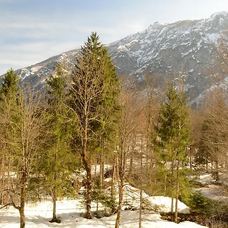 Bed and breakfast Park - Adults Only 4*