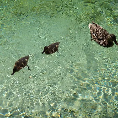 Park - Adults Only Bohinji-tó