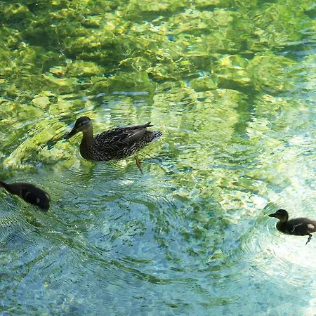 Couette-café Park - Adults Only Bohinj