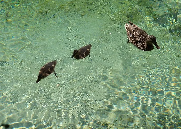 Park - Adults Only Bohinj
